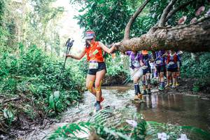 BIB: 
                            <button type="button" onclick="openModal(25474667)" class="btn btn-primary btn-sm float-right btn-popup" data-toggle="modal" data-target=".modal-high-quality">
                        <i class="fas fa-shopping-cart"></i> Add to Cart
                    </button>
                                            <button type="button" onclick="isThisMe(25474667, true)" class="btn btn-success btn-sm float-right btn-popup btn-isme hidden" data-toggle="tooltip" data-placement="bottom" title="นี่คือรูปของคุณใช่ไหม คลิกที่นี่เพื่อเอาเข้าอัลบั้ม">
                        <i class="fas fa-plus"></i> Add to album
                    </button>
                    <button type="button" onclick="isThisMe(25474667, false)" class="btn btn-warning btn-sm float-right btn-popup btn-isnotme hidden">
                        <i class="fas fa-ban"></i> Remove from album
                    </button>